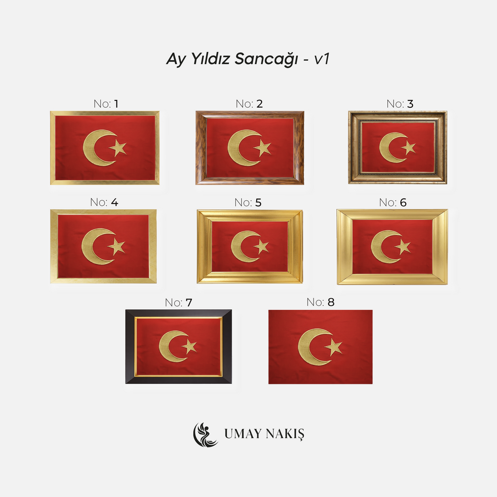 Ay Yıldız Sancağı - v1