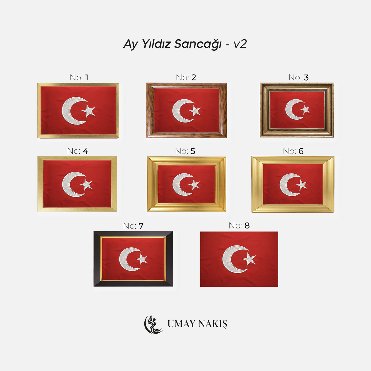 Ay Yıldız Sancağı - v2